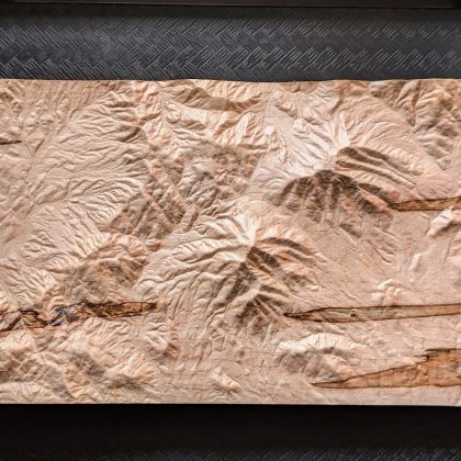 Peaks of Otter Topography Carving